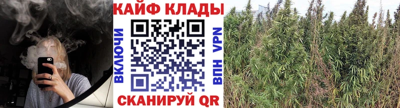 Названия наркотиков Сафоново Бошки Шишки Меф Кокаин КЕТАМИН ГАШИШ Alpha-PVP