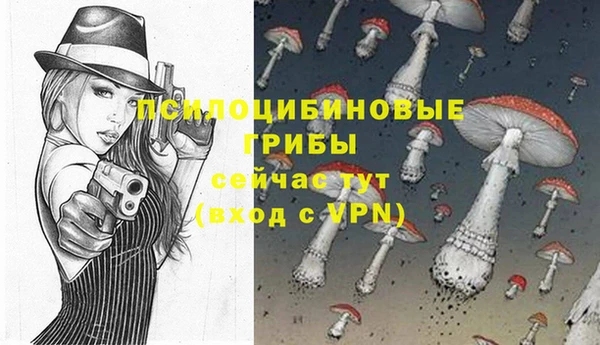 соль ск Алексеевка