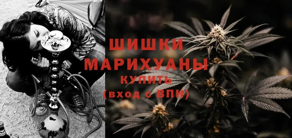 бошки Алексин