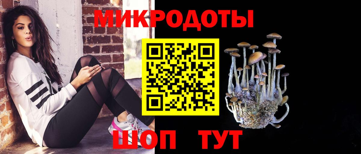 Галлюциногенные грибы Psilocybe Сафоново